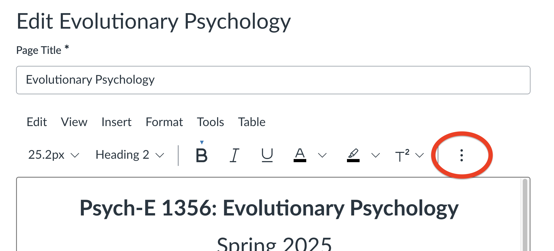 A Canvas page in edit mode. Above the text editing field is a row of tool buttons for formatting text, including boldface, italic, text color, etc. On the far right, circled in red, is a button with three dots stacked vertically.