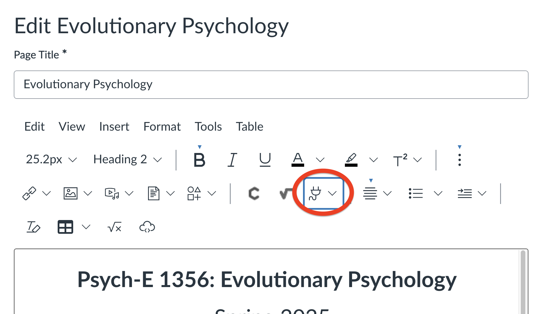 A Canvas page in edit mode. Above the text editing field are several rows of tool buttons. Among them, circled in red, is a button with an icon of an electrical plug.