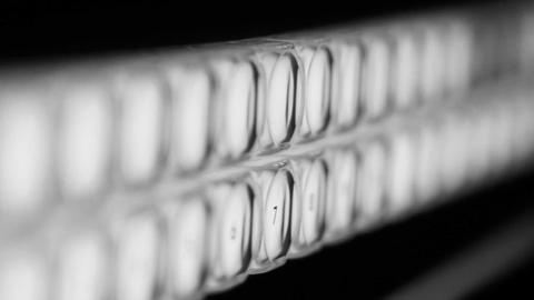 2 rows of white keyboard with only the center 4 keys in focus - photo Casey Smerczynski 