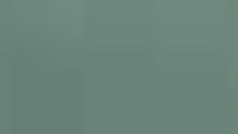 decorative green bar