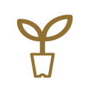 Deep learning icon