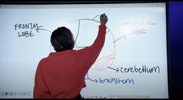 instructor drawing on white board