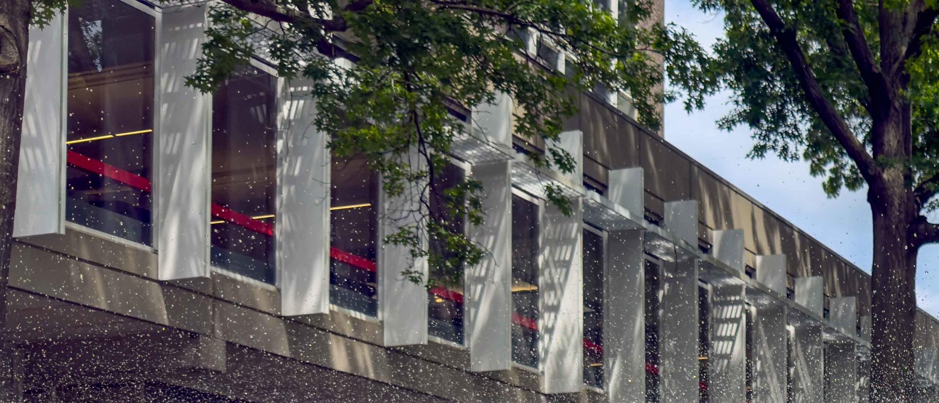 Harvard Science Center with spray from fountain - photo Casey Smerczynski